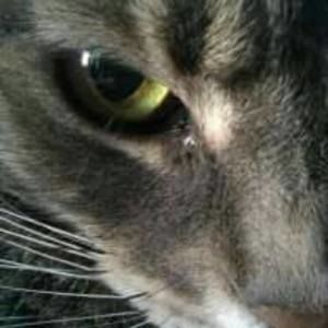 Meet your Posher, Dj